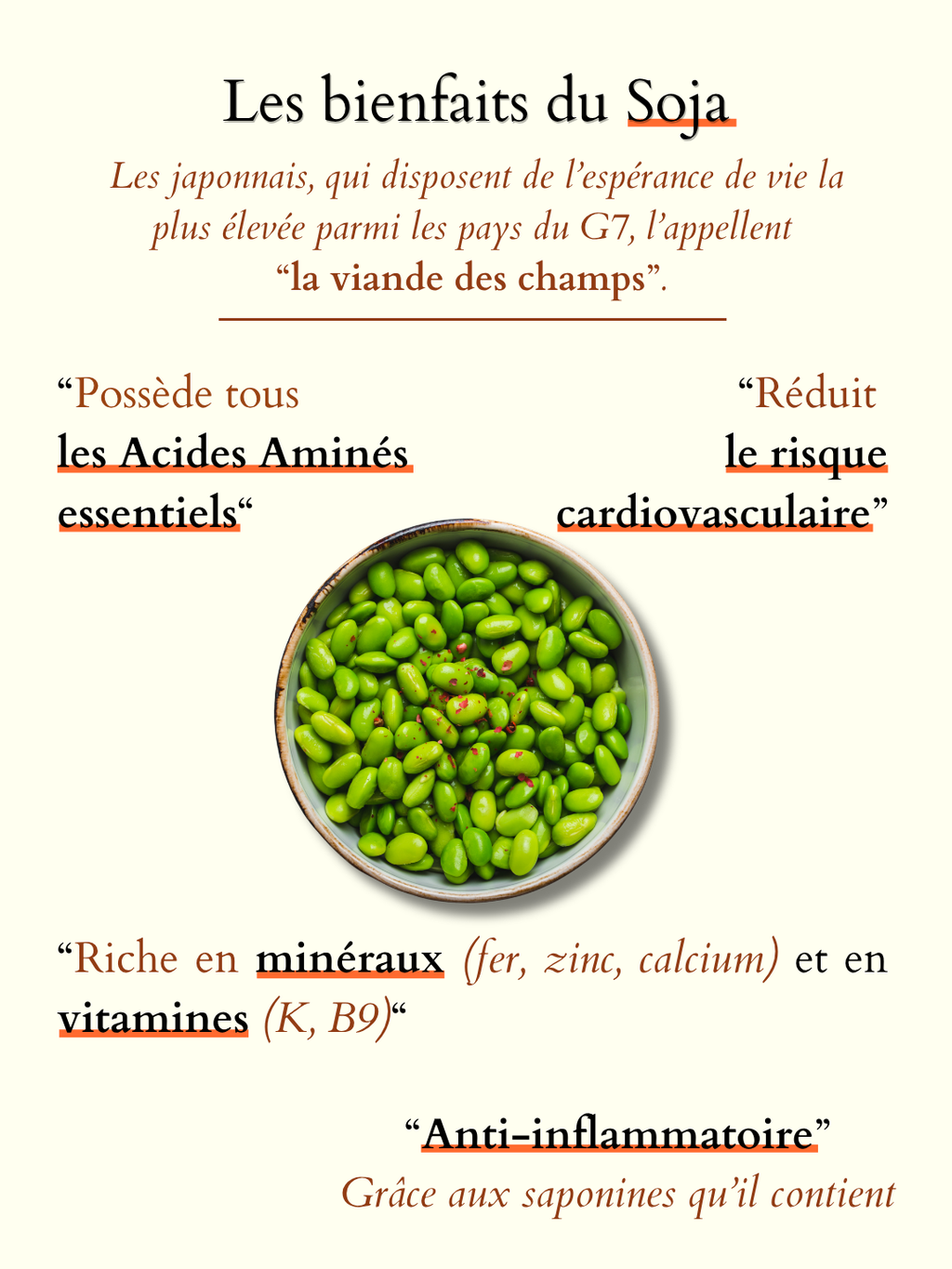 Barre Protéinée Gourmande & Low Sugar